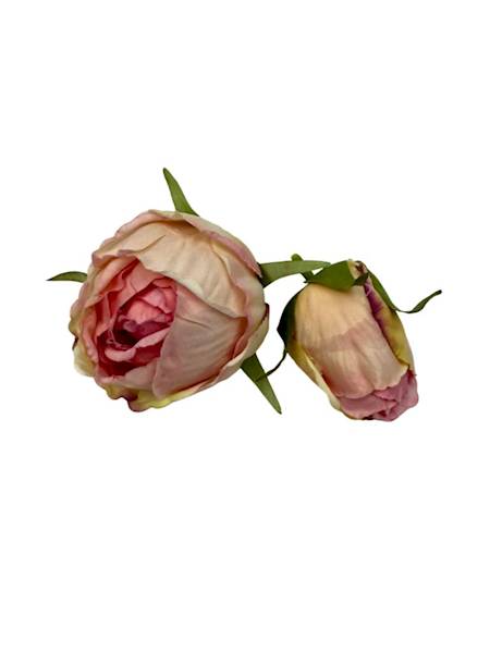 Róża główka + pąk jasny róż