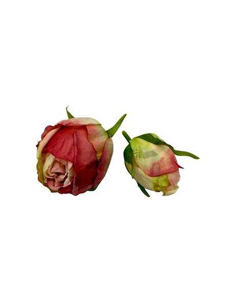 Róża główka + pąk jasny i ciemny róż