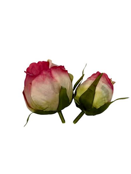 Róża główka + pąk jasny i ciemny róż