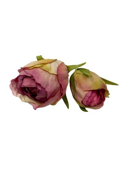 Róża główka + pąk brudny róż