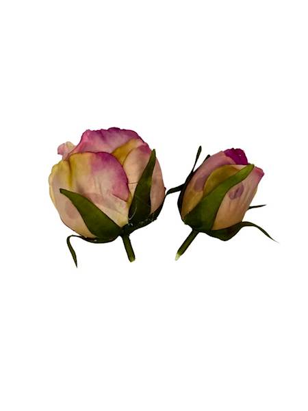 Róża główka + pąk brudny róż