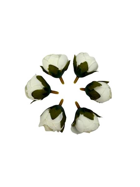 Pełnik główka zestaw 6 sztuk biały