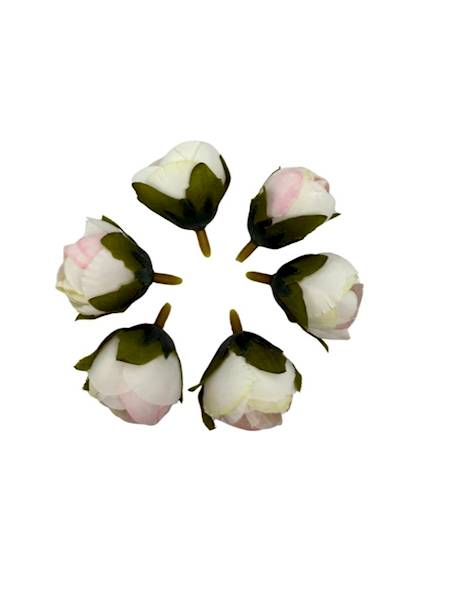 Pełnik główka zestaw 6 sztuk krem i jasny róż