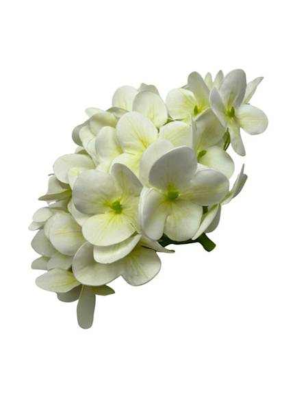 Hortensja główka 18 cm biała