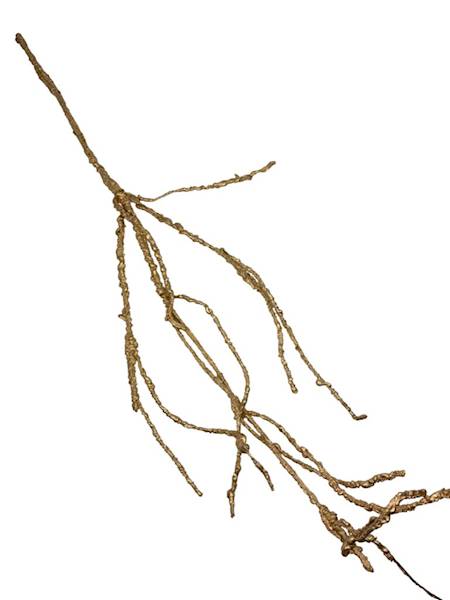 Korzeń złoty 130 cm