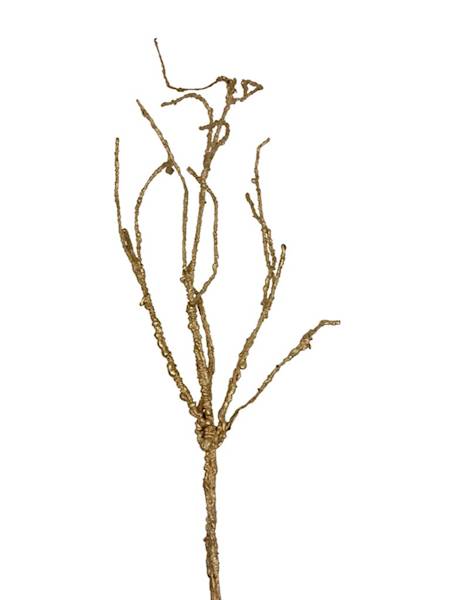 Korzeń złoty 130 cm