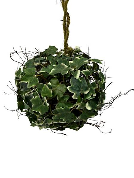 Kula bluszcz 20 cm biało zielona