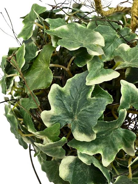 Kula bluszcz 20 cm biało zielona