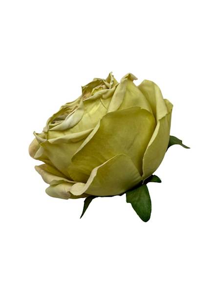 Róża główka 8 cm limonkowa