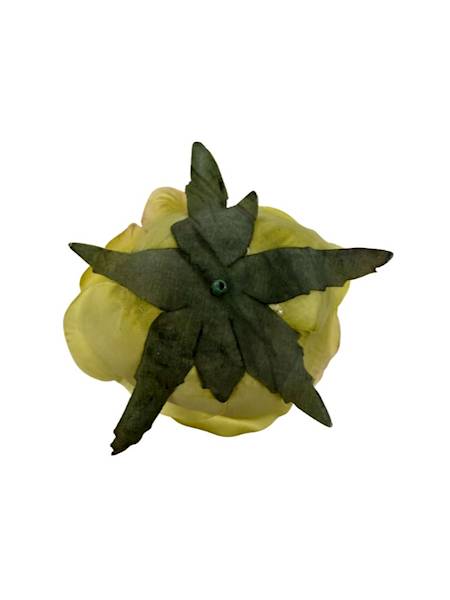 Róża główka 8 cm limonkowa