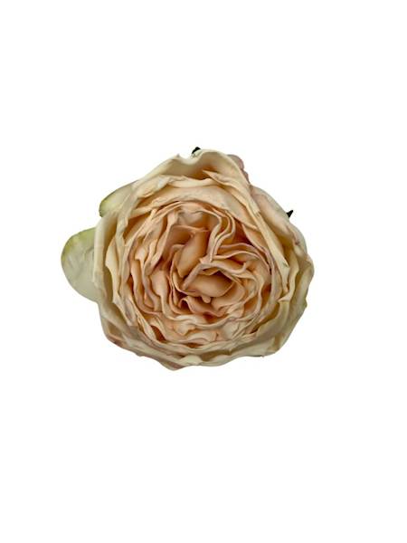 Róża główka 8 cm kremowy / delikatny róż