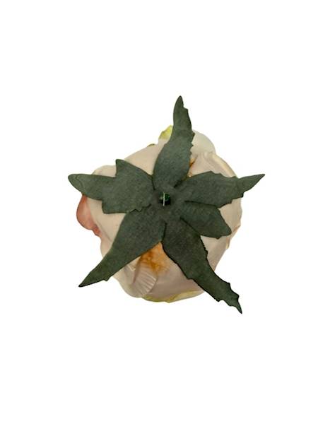 Róża główka 8 cm kremowy / delikatny róż