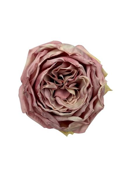 Róża główka 8 cm różowa