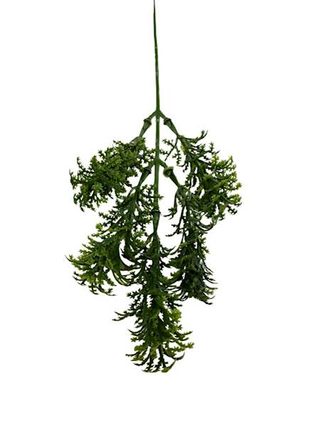 Wodorosty gałązka 32 cm zielone