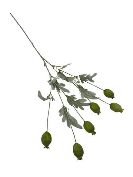 Makówki gałązka 85 cm zielona