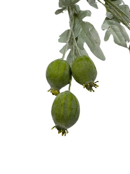 Makówki gałązka 85 cm zielona