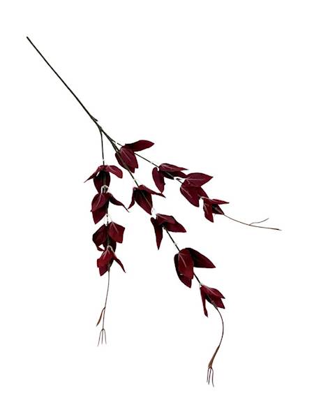 Ruskus gałązka 67 cm bordo