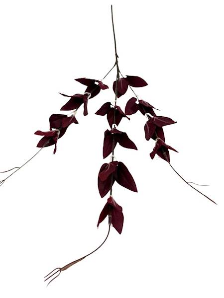 Ruskus gałązka 67 cm bordo