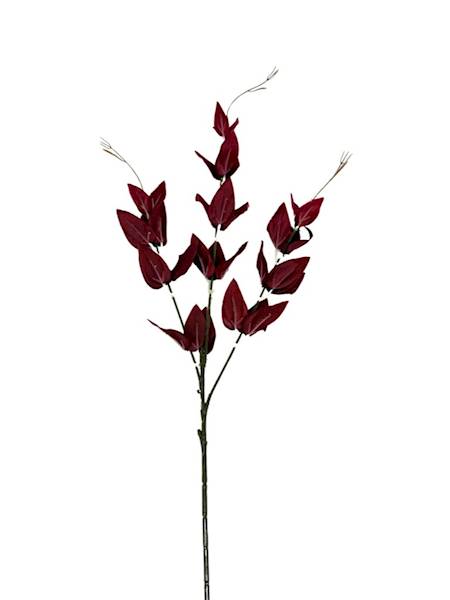 Ruskus gałązka 67 cm bordo