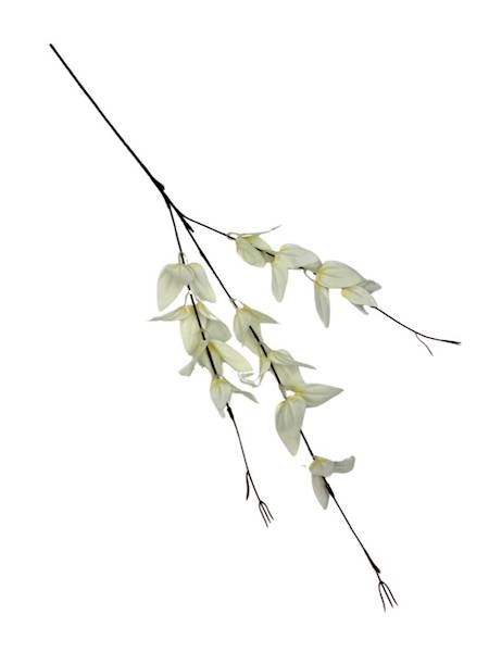 Ruskus gałązka 67 cm krem