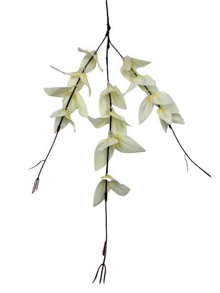 Ruskus gałązka 67 cm krem