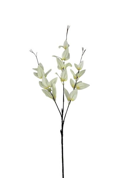 Ruskus gałązka 67 cm krem