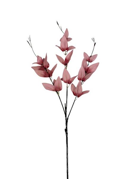 Ruskus gałązka 67 cm róż