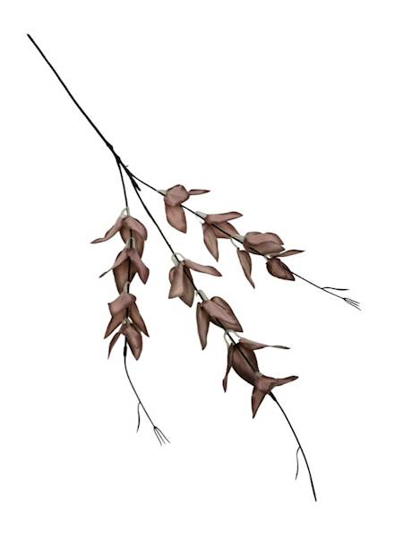 Ruskus gałązka 67 cm brąz / beż