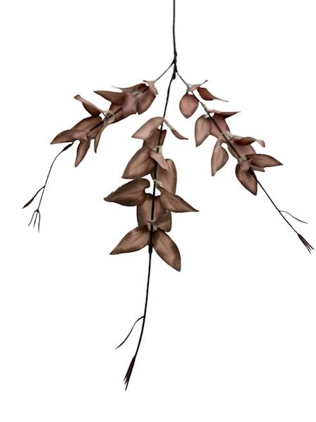 Ruskus gałązka 67 cm brąz / beż