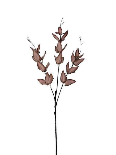 Ruskus gałązka 67 cm brąz / beż