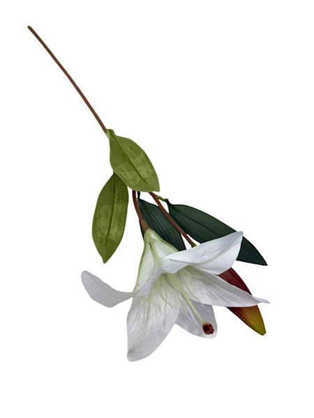 Lilia gałązka 50 cm biała
