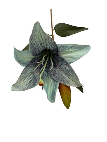 Lilia gałązka 50 cm szaro niebieska