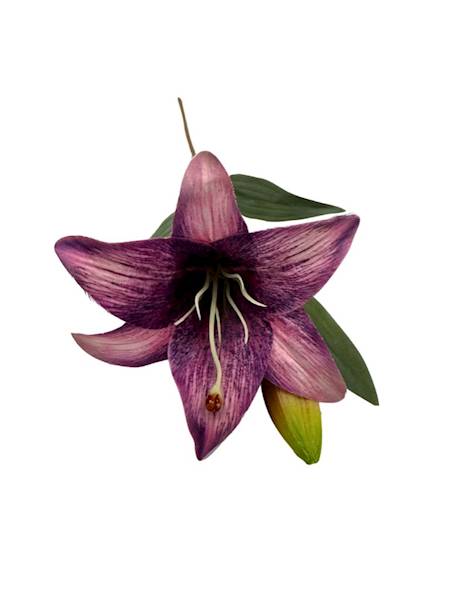 Lilia gałązka 50 cm fiolet i róż