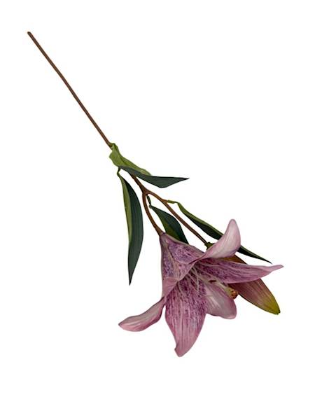Lilia gałązka 50 cm różowa