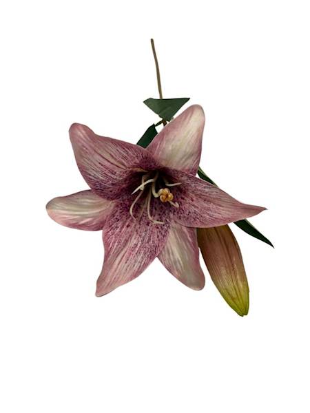 Lilia gałązka 50 cm różowa