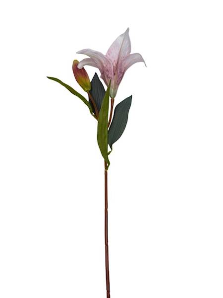 Lilia gałązka 50 cm biało czerwona