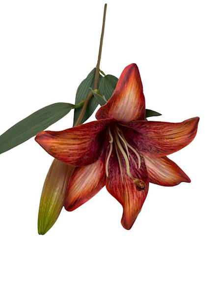 Lilia gałązka 50 cm czerwony i róż