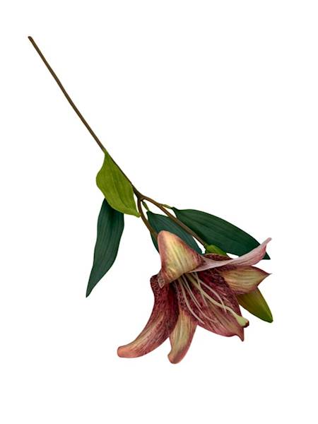 Lilia gałązka 50 cm czerwony i żółty