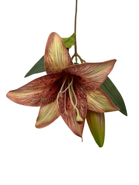 Lilia gałązka 50 cm czerwony i żółty