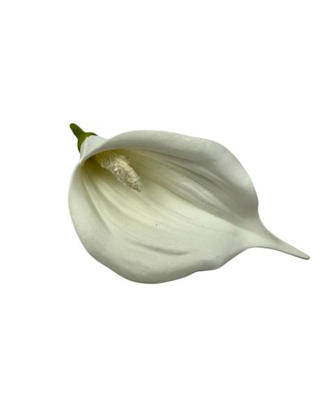 Kalia główka 13 cm biała