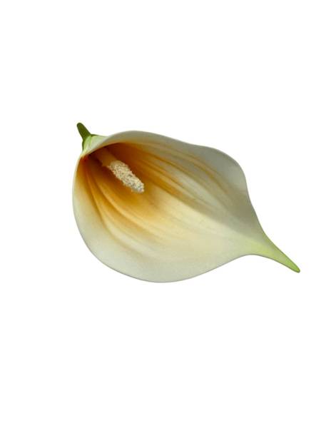 Kalia główka 13 cm pomarańczowa