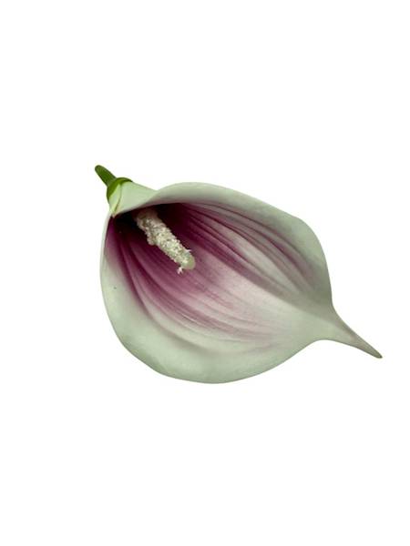 Kalia główka 13 cm fiolet