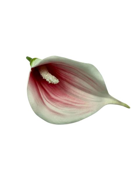 Kalia główka 13 cm różowa