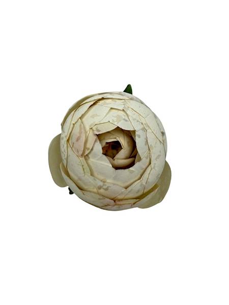 Kamelka główka 6 cm krem