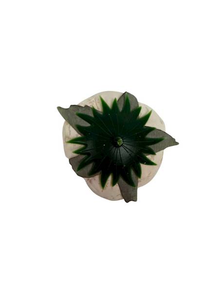 Kamelka główka 6 cm krem