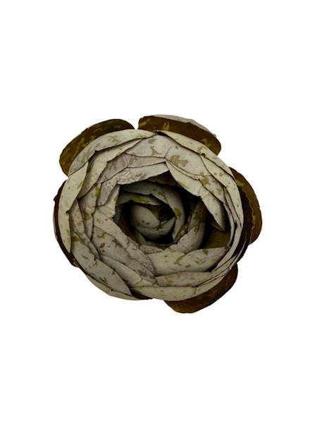 Kamelka główka 6 cm brudna zieleń