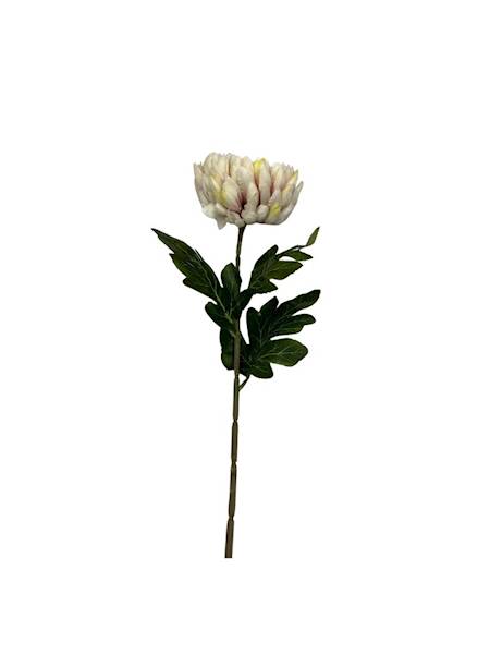 Chryzantema gałązka 70 cm krem/brudny róż