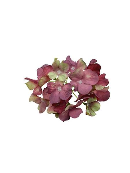 Hortensja główka 13 cm brudny fiolet z zielonym