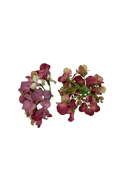 Hortensja główka 13 cm brudny fiolet z zielonym