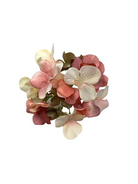 Hortensja główka 13 cm  róż, krem i zielony